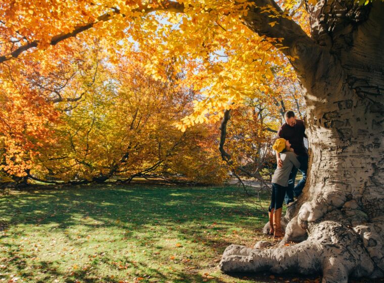 Discover how Homefront Healing's expert marriage counseling and couples therapy services can help you and your partner build a stronger, more fulfilling relationship.